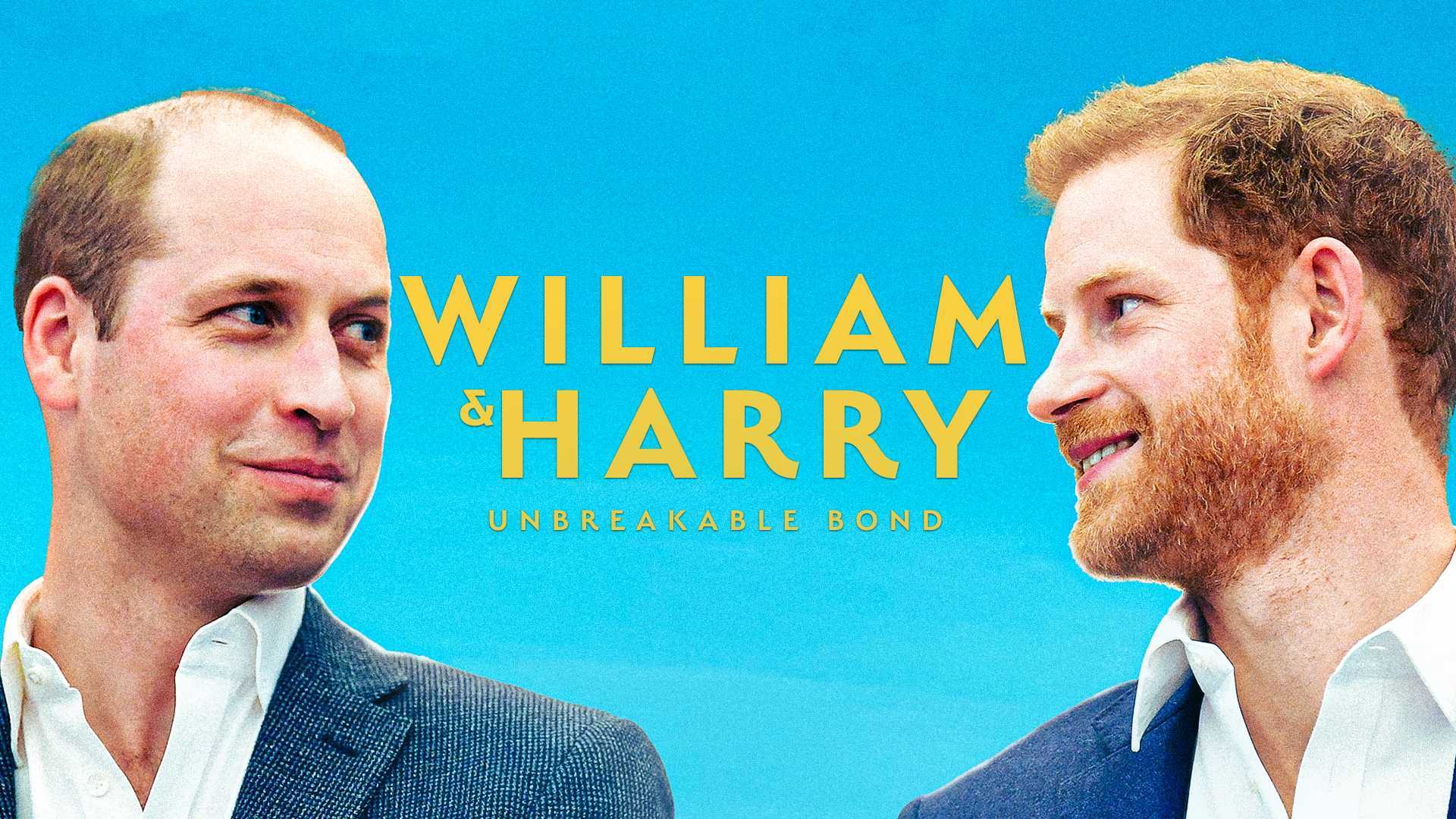 威廉与哈利：共根同蒂 I Will&Harry:UnbreakableBond