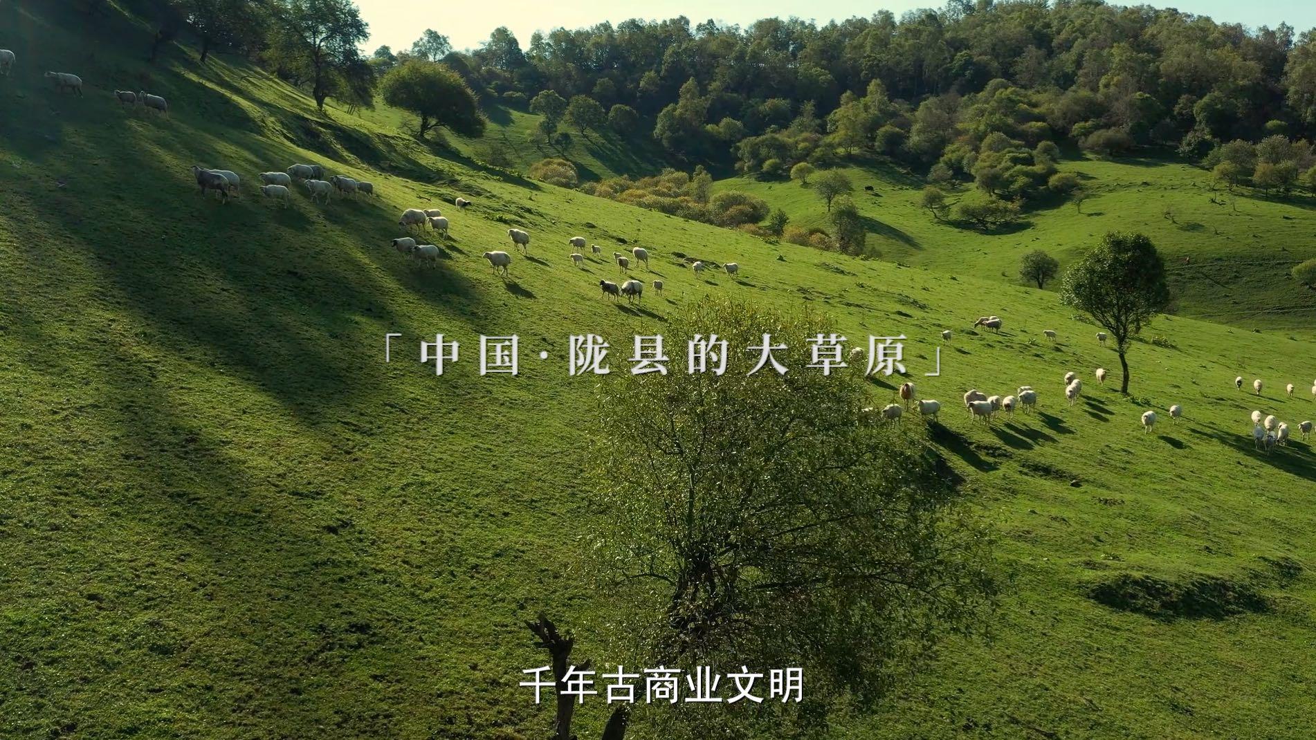 【飞鹤】羊奶粉上市宣传片-《滴滴鲜承诺》