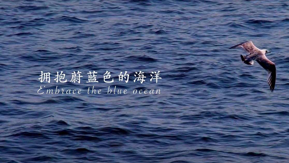 宣传片：拥抱蔚蓝色的海洋（吴世康纪录片工作室）