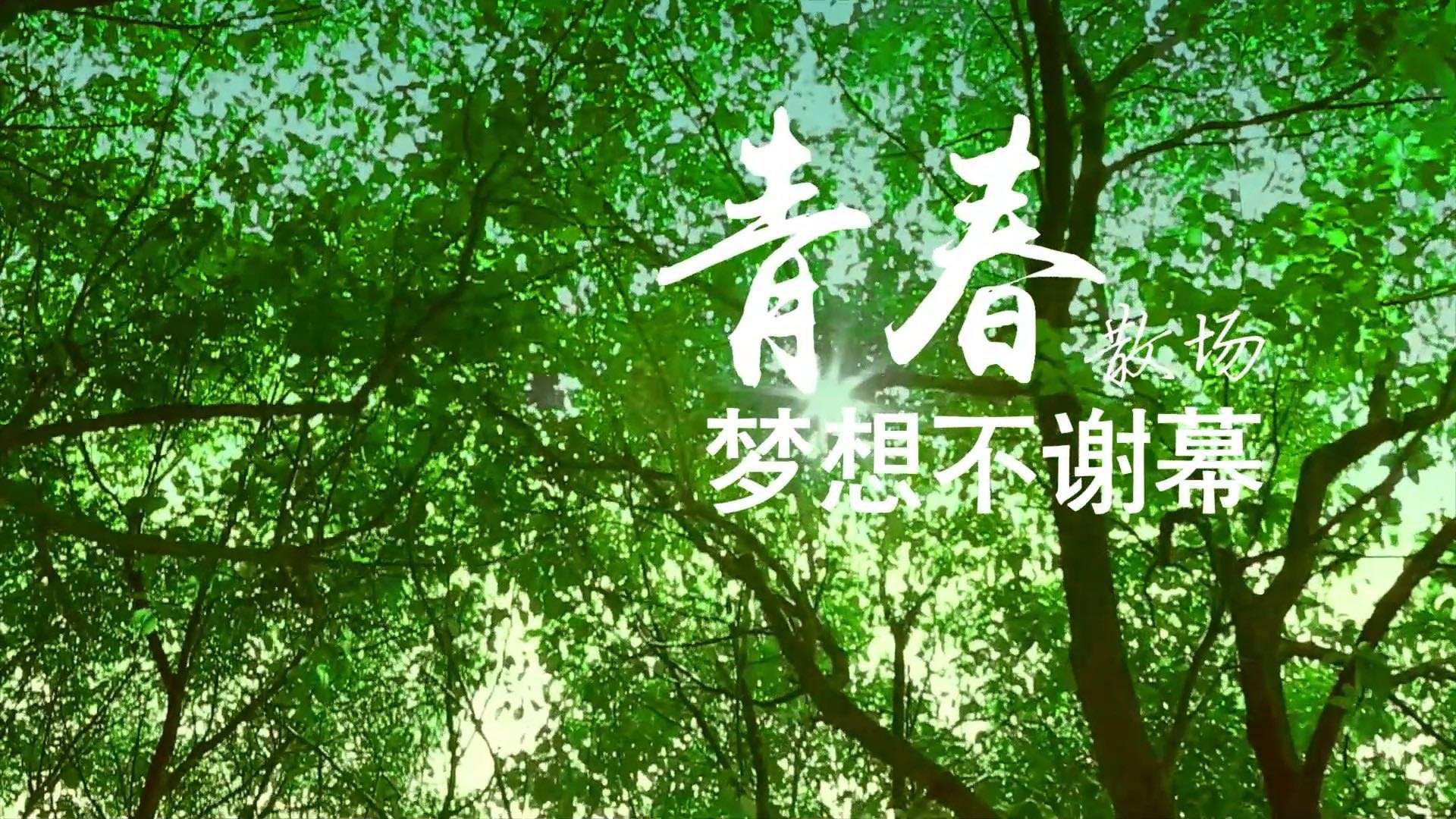 《青春散场，梦想不谢幕》2017年校园招聘宣传片