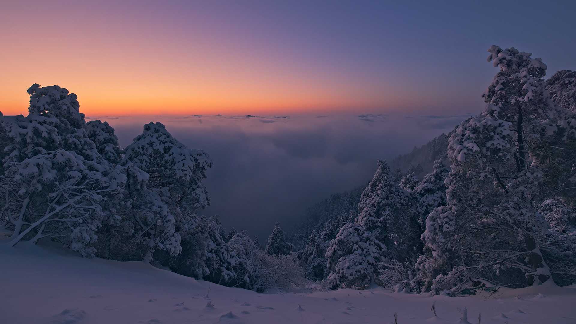 杭州高山雪景，大雪过后的天目山脉森林云海日出唯美自然风光