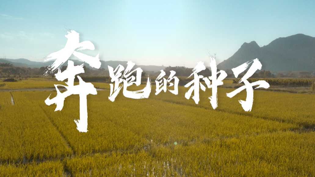 《奔跑的种子》：农行省行"千人驻镇助力乡村振兴“主题宣传片