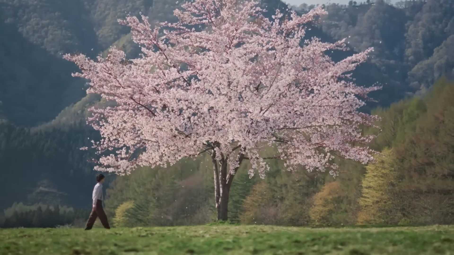 日式广告的浪漫《一分钟的四季轮回》