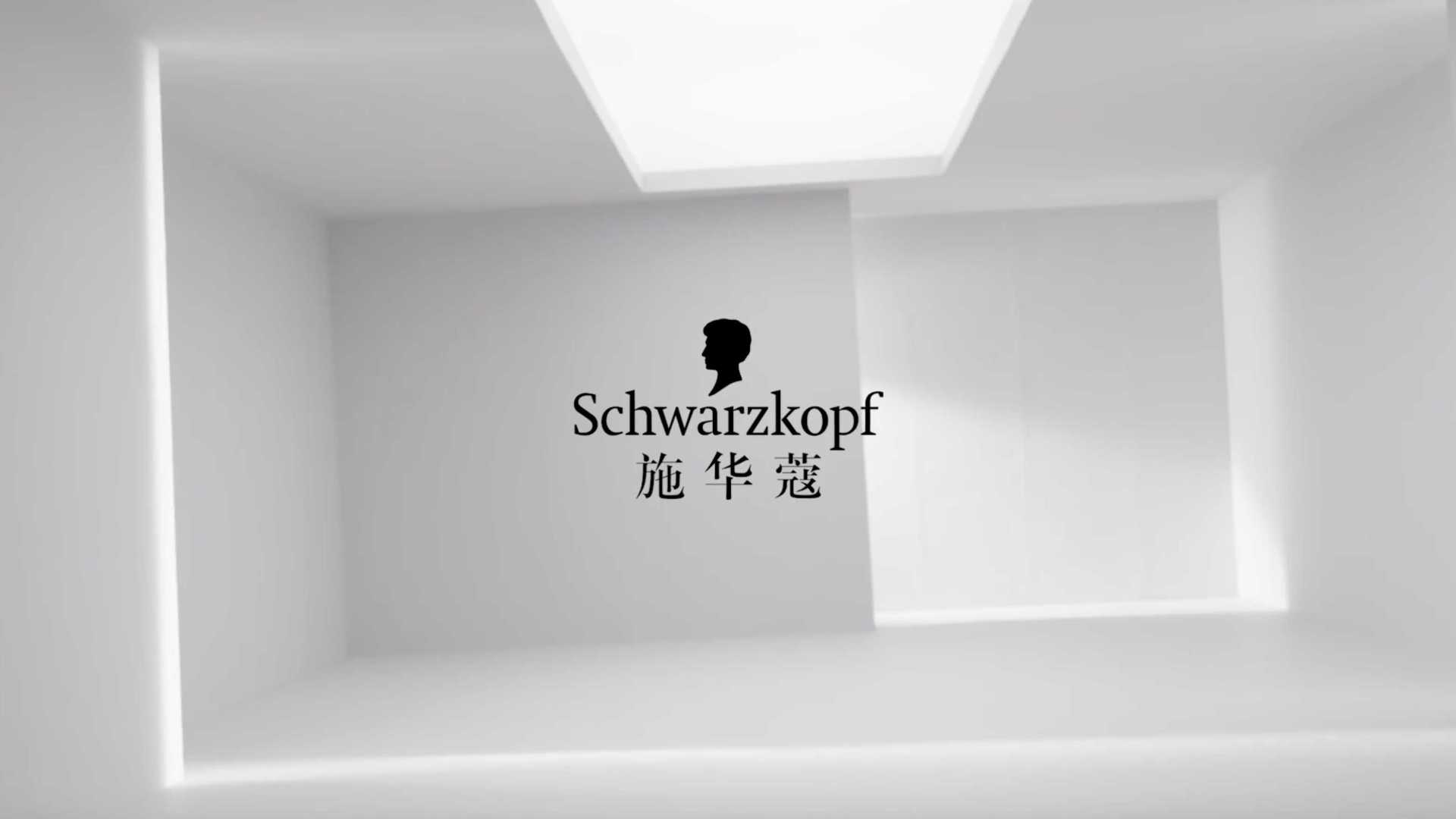 Schwarzkopf 施華蔻專研修護全系列
