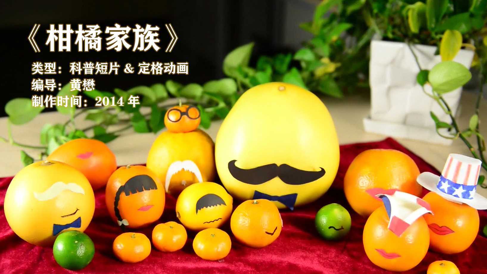 《柑橘家族》(2014) 萌萌哒科普-定格动画 中国传媒大学