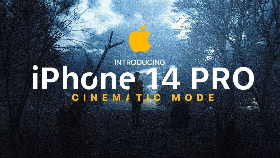 iPhone 14 Pro 实拍摄影《森林》