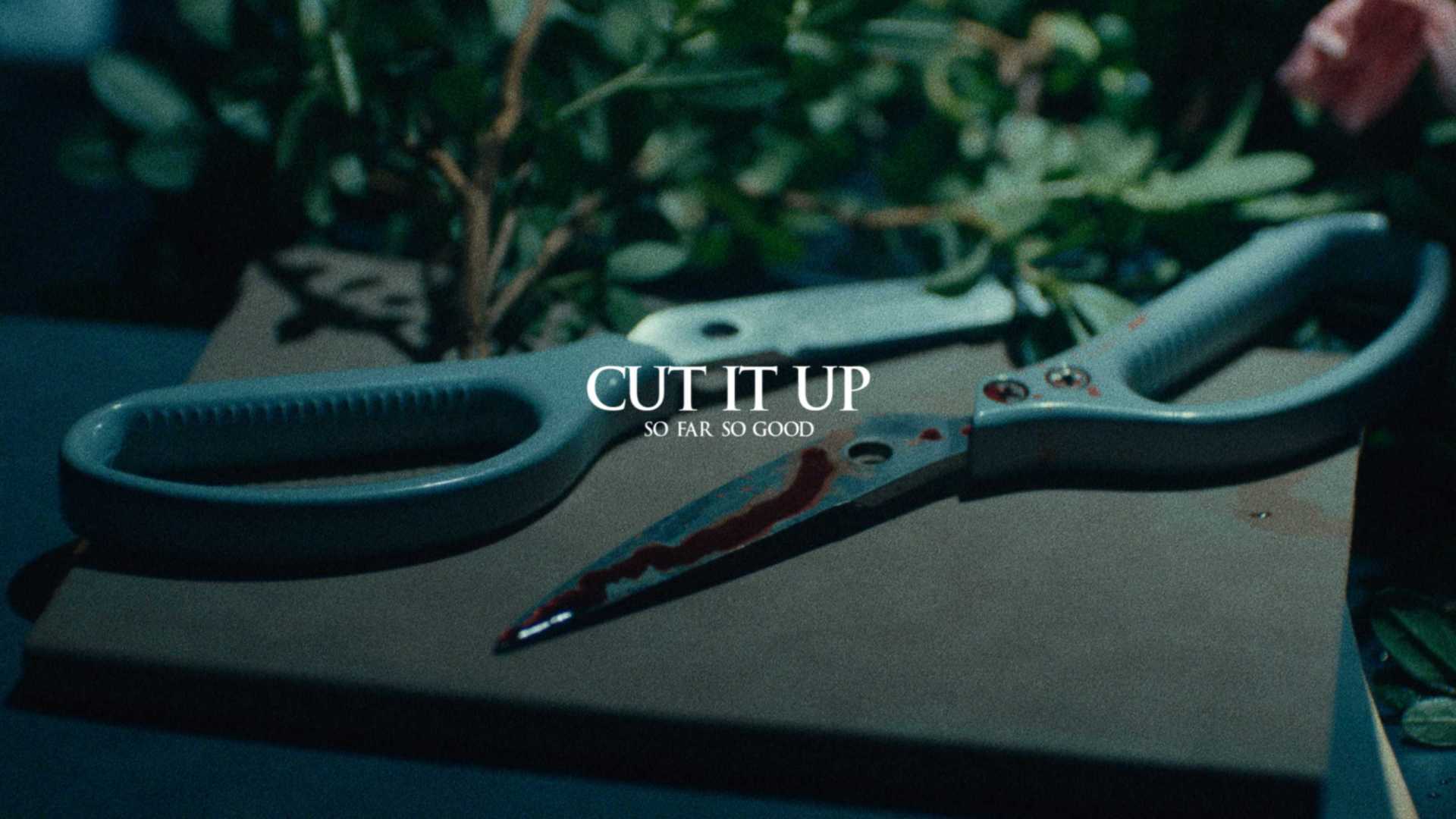 S.F.S.G | MV【CUT IT UP】