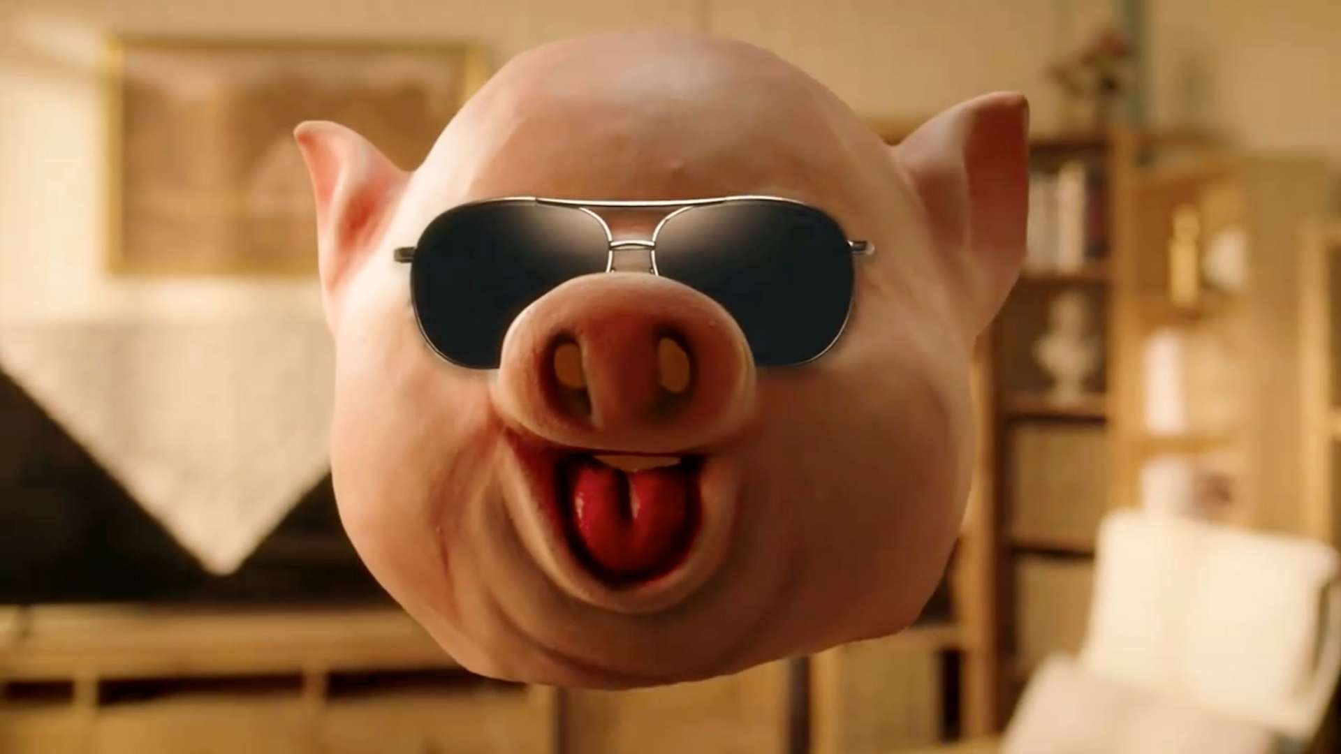 反诈神曲MV：我不是一只猪猪
