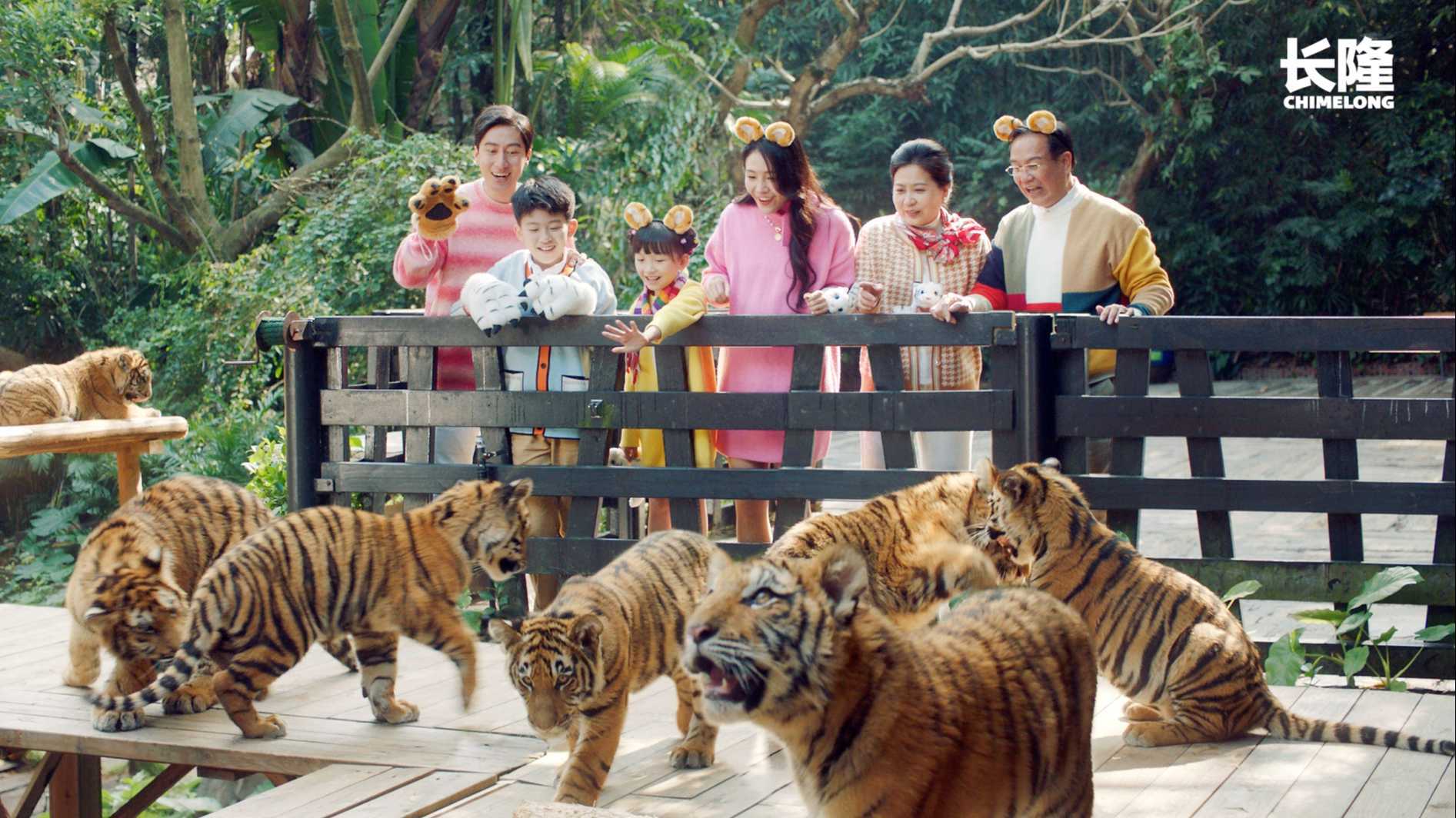 CHIMELONG -The year of the tiger TVC