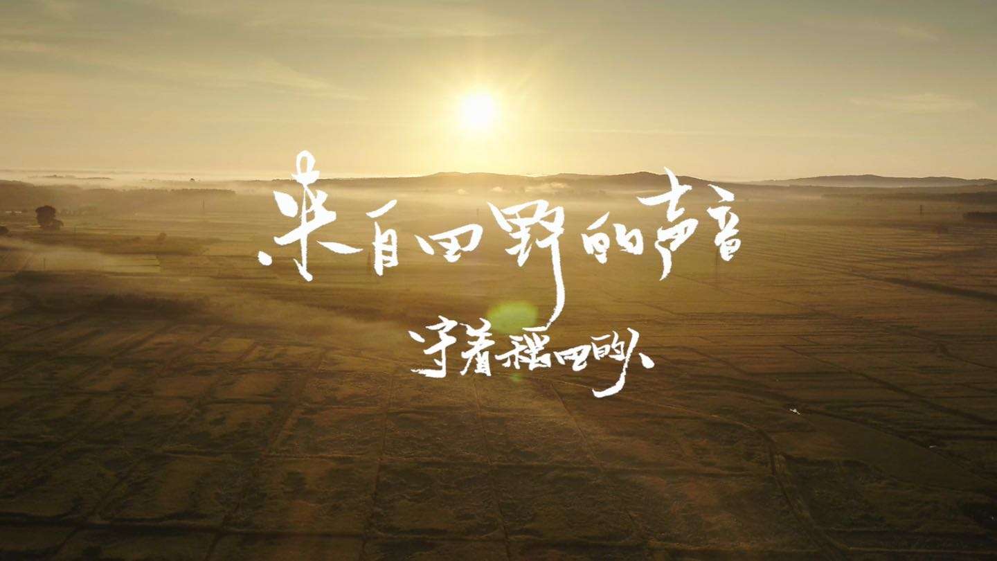 中国农业银行｜来自田野的声音《守着稻田的人》