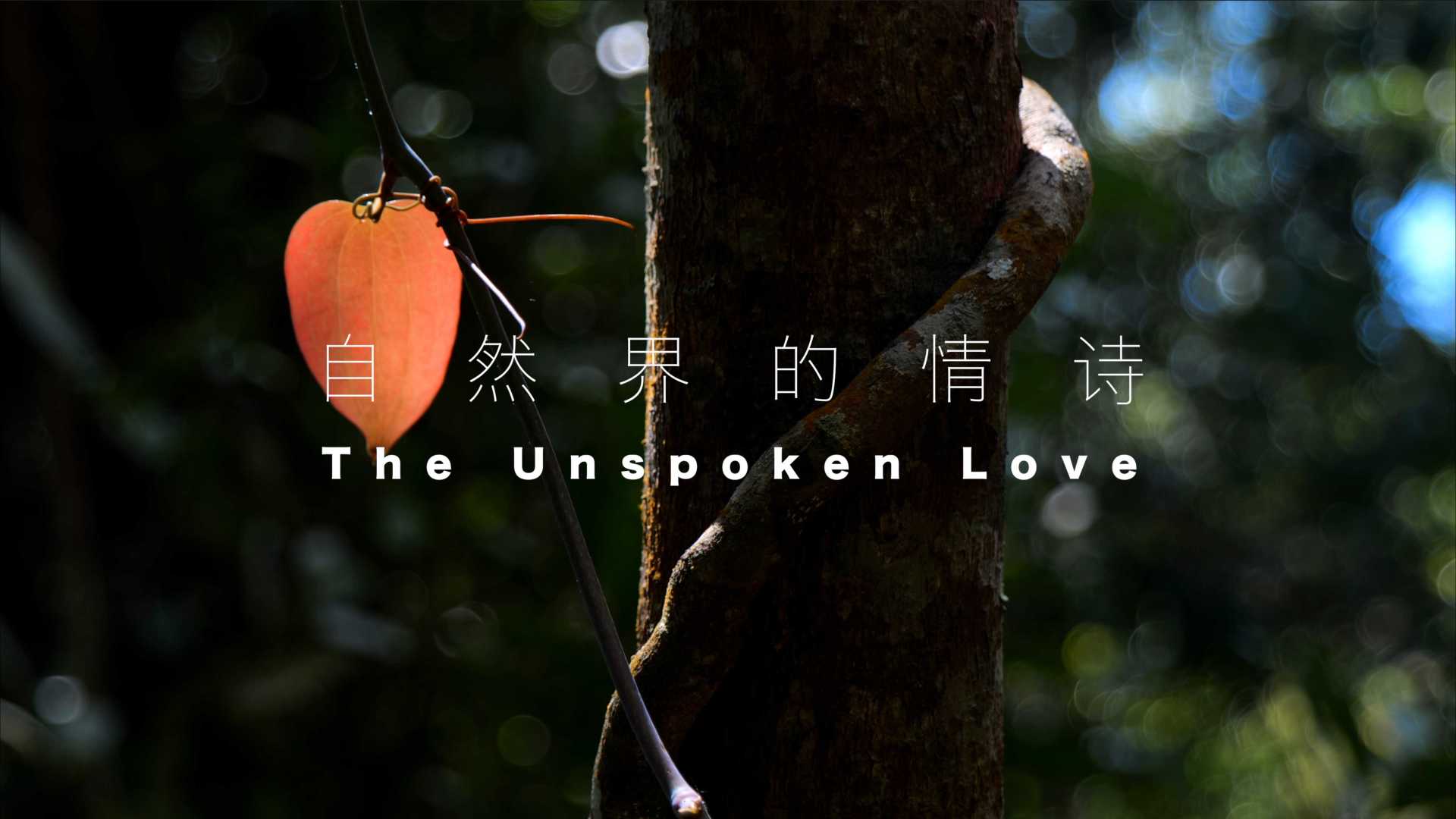 自然界的情诗 The Unsopken Love