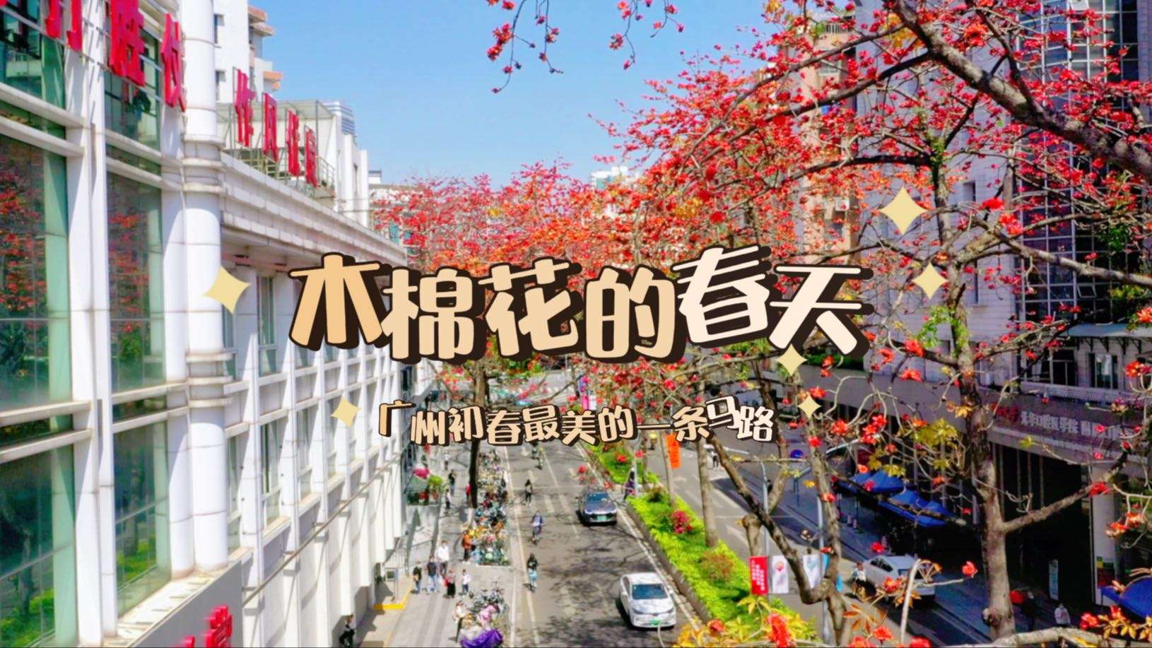 早晨粤语 | 我在广州初春最美的马路感受春天！