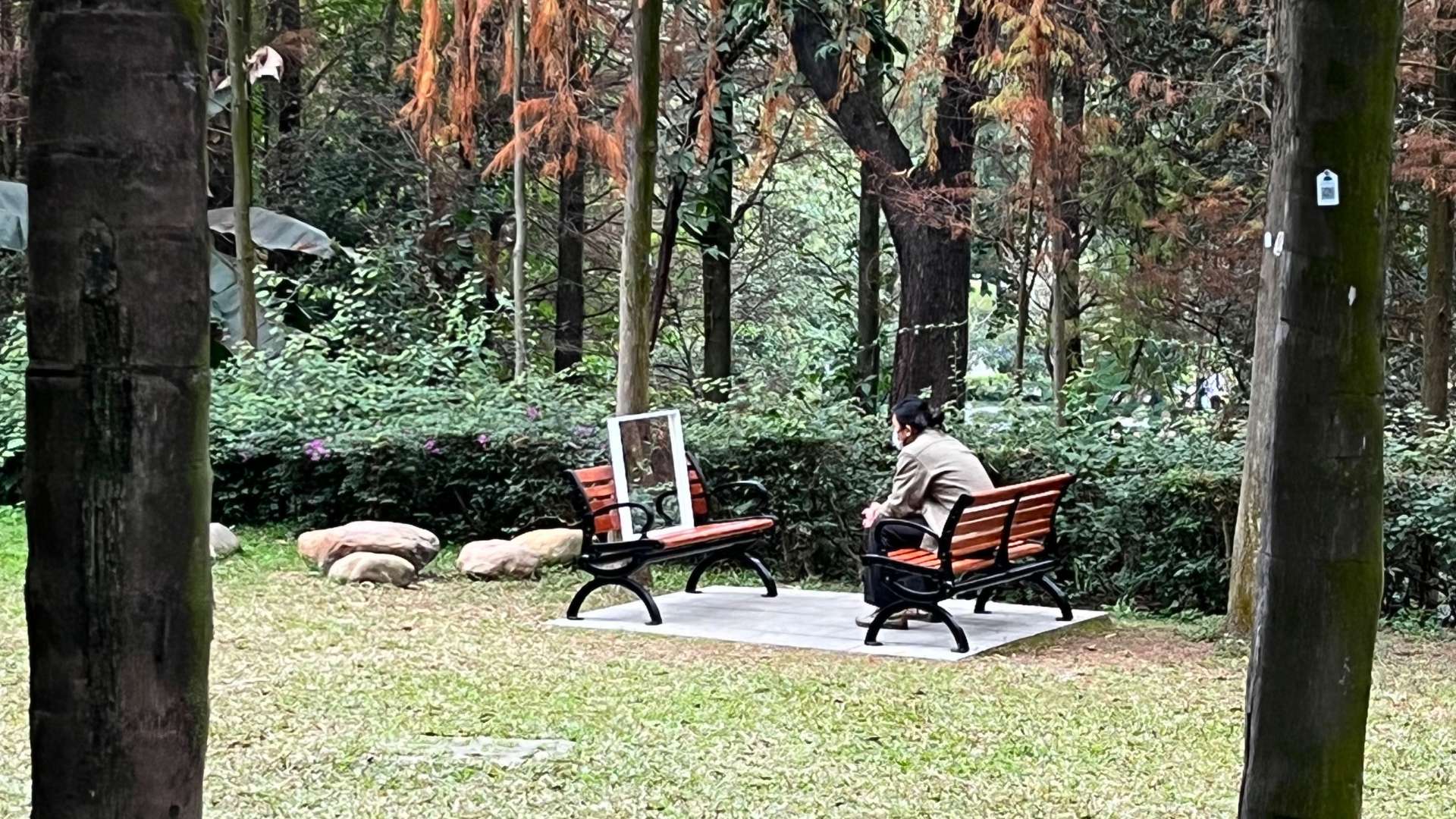 诗意化的日常表达-公园长椅