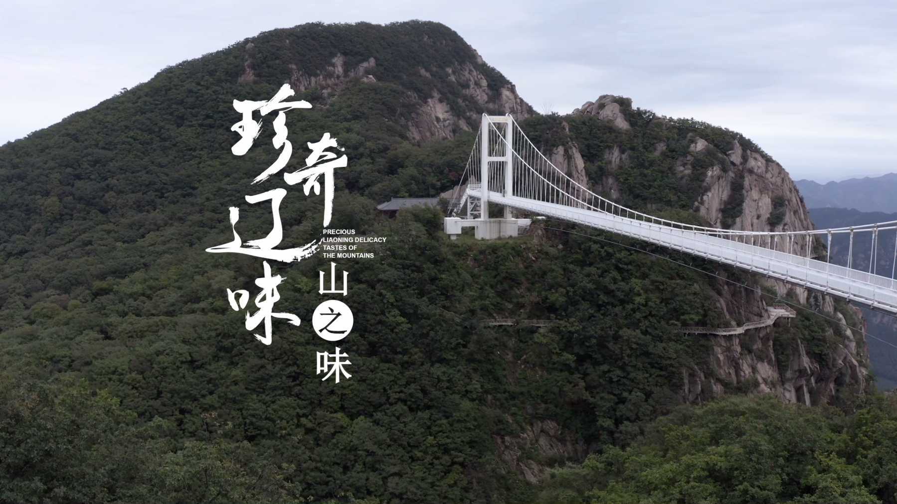 新华社纪录片《珍奇辽味：山之味》