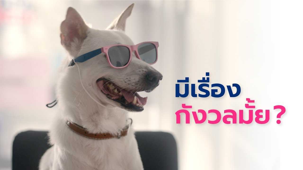 泰国狗子成精《广告也能拍成电影》