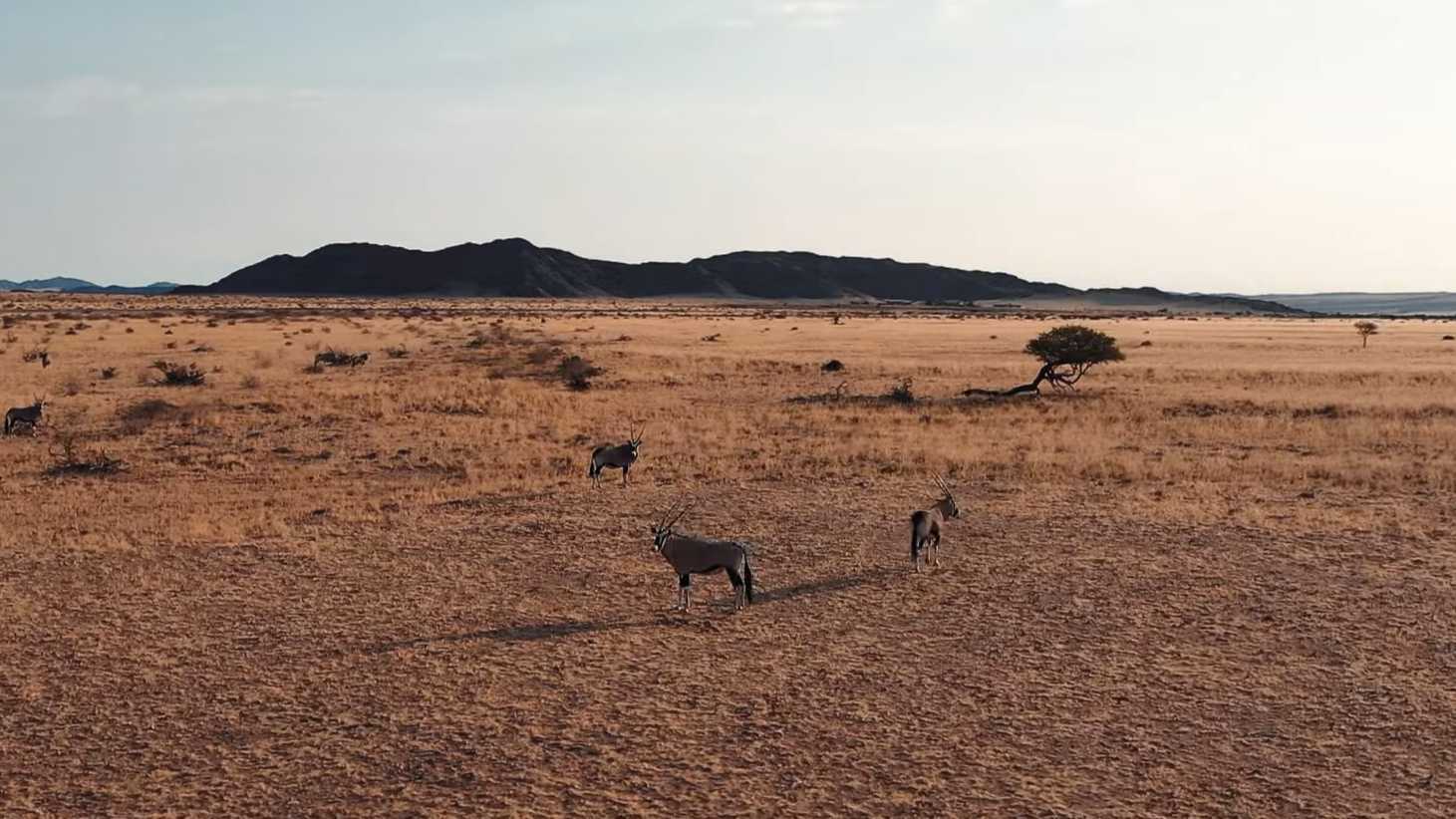 纳米比亚|沙漠戈壁的壮丽
