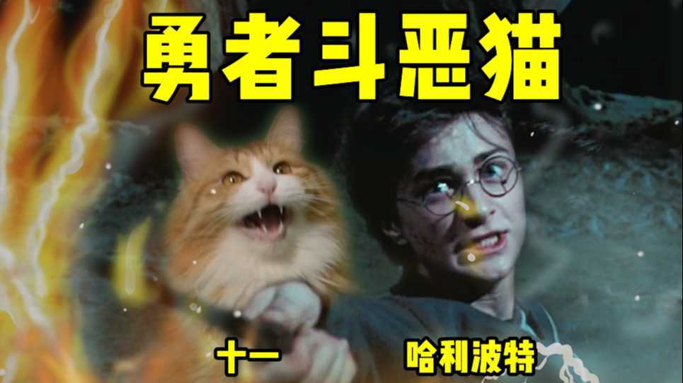 哈利波特与火焰猫