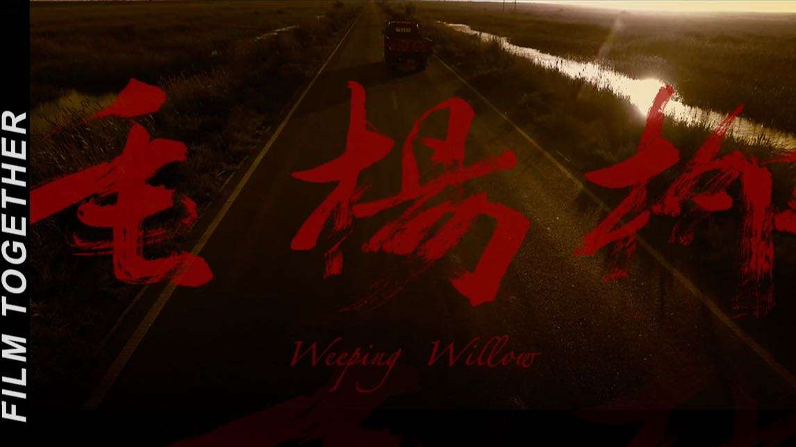 【一起拉片】2014北京电影学院本科毕业作品【垂杨柳】完整拉片，走不出的无人区