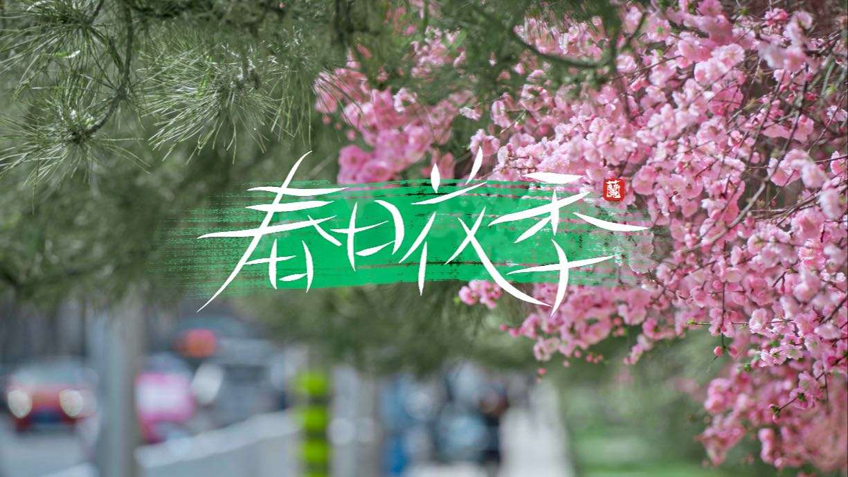 【4K短片】金城三月 春日花季┃兰州赏花