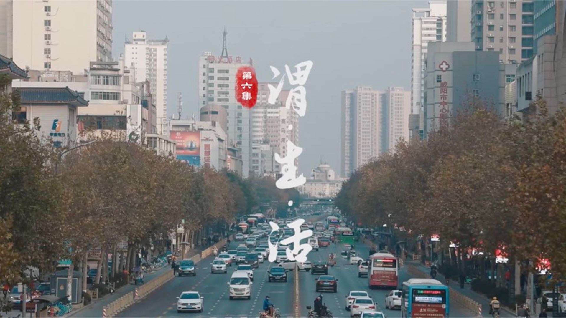 咸阳渭城纪录片第六集