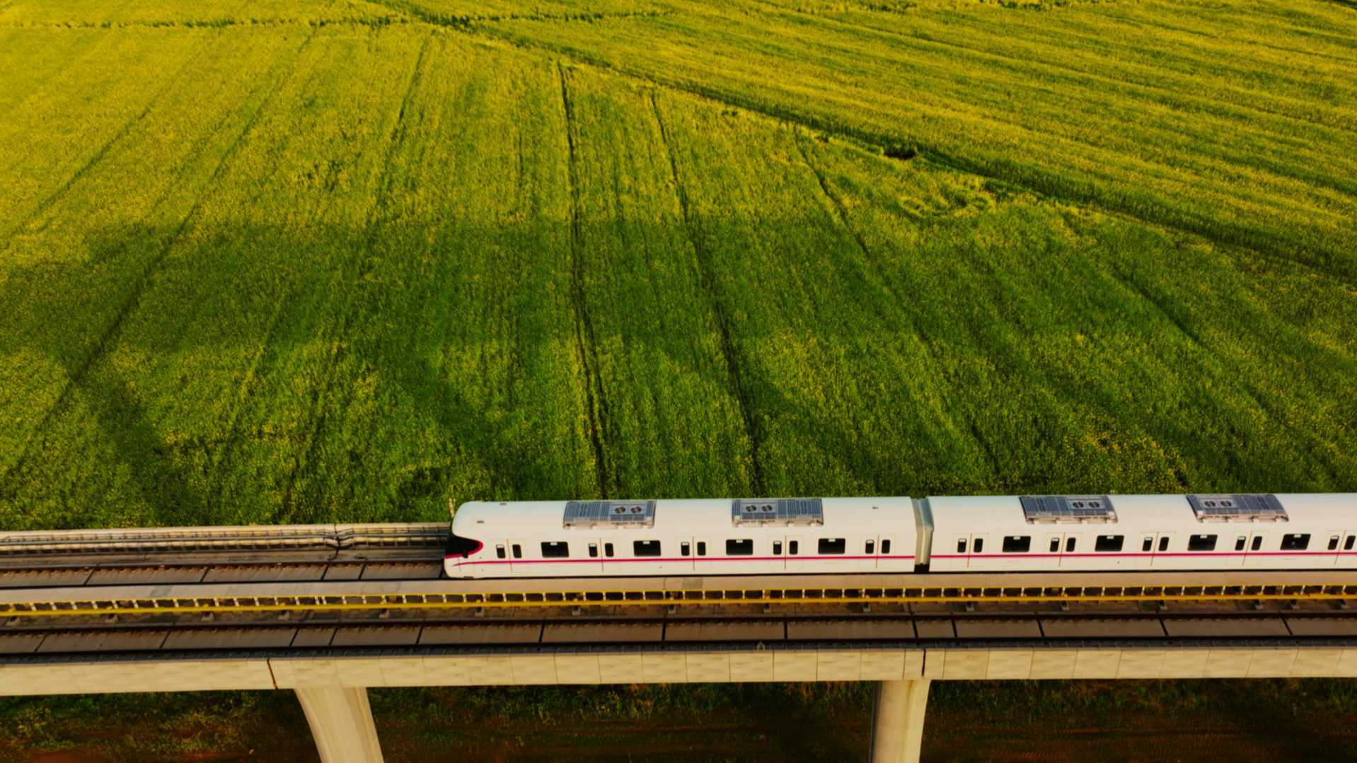 武汉开往春天的列车