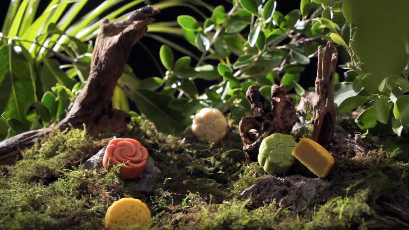 月饼创意视频——森林里的月饼
