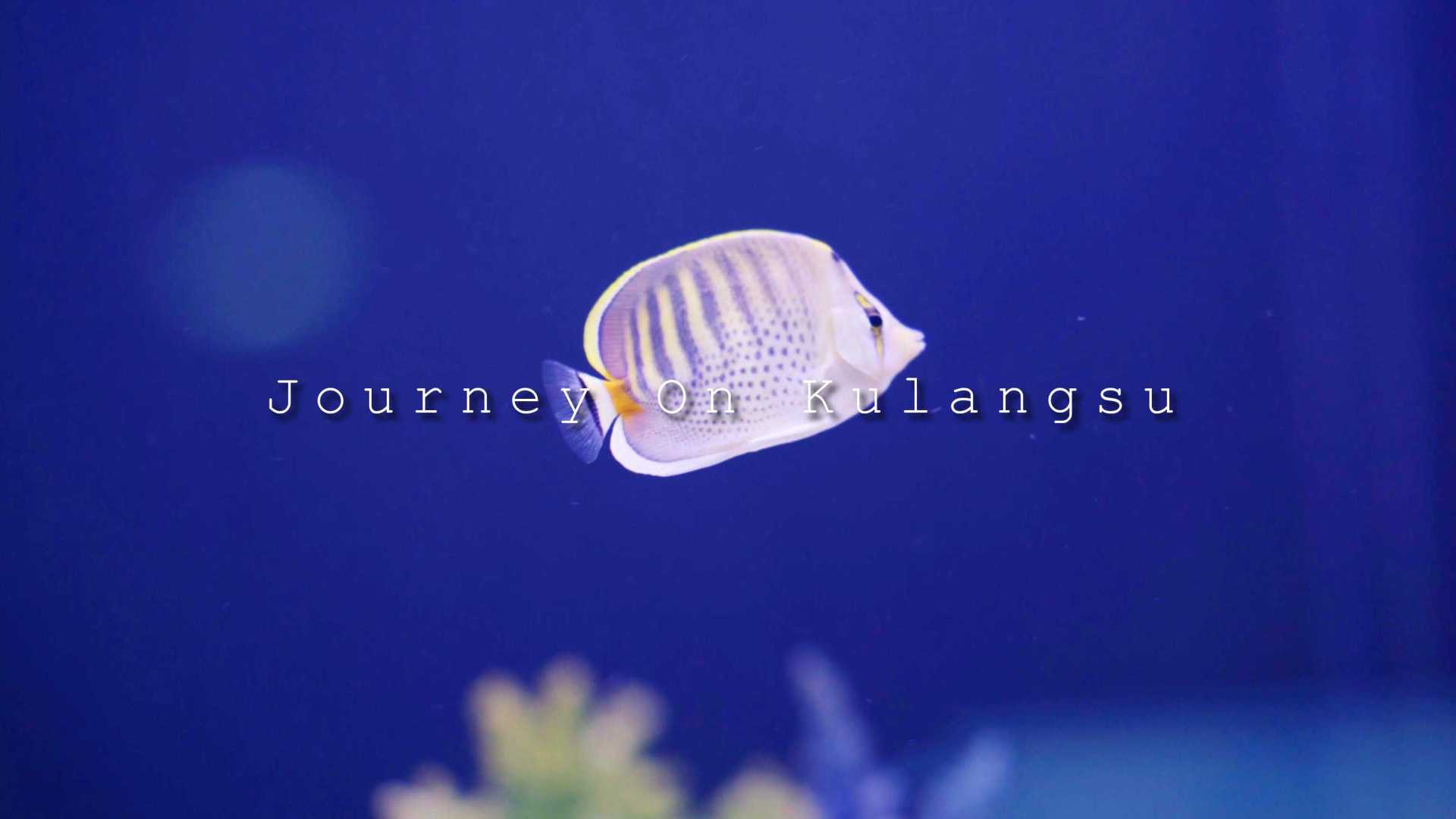 鼓浪屿之行 Journey On Kulangsu | 电影感VLOG
