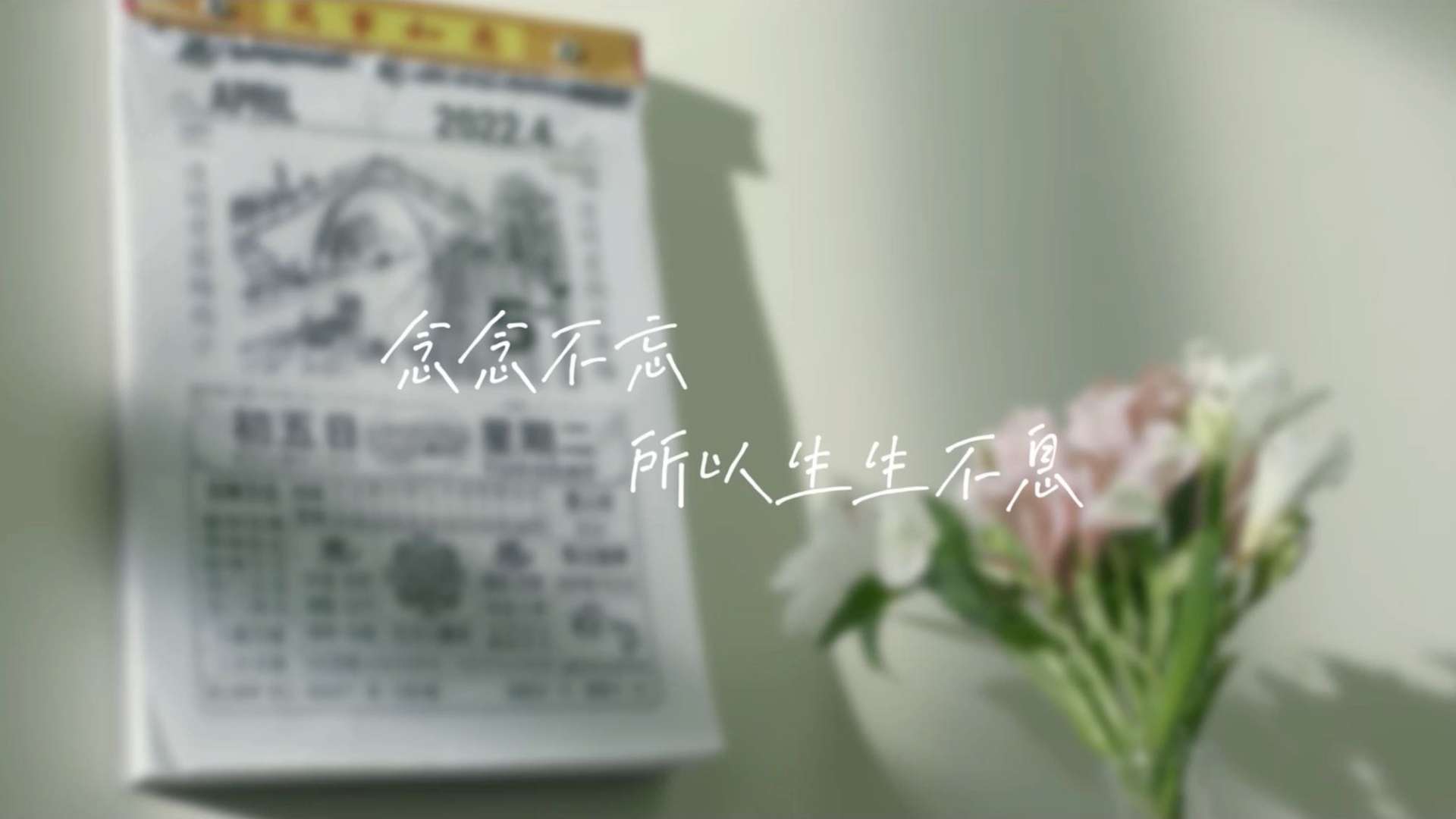 二十四节气风物志清明《“亲”团》宣传片