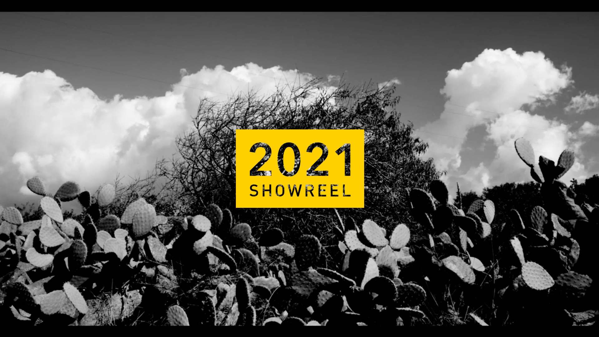 showreel 2021 短片作品集