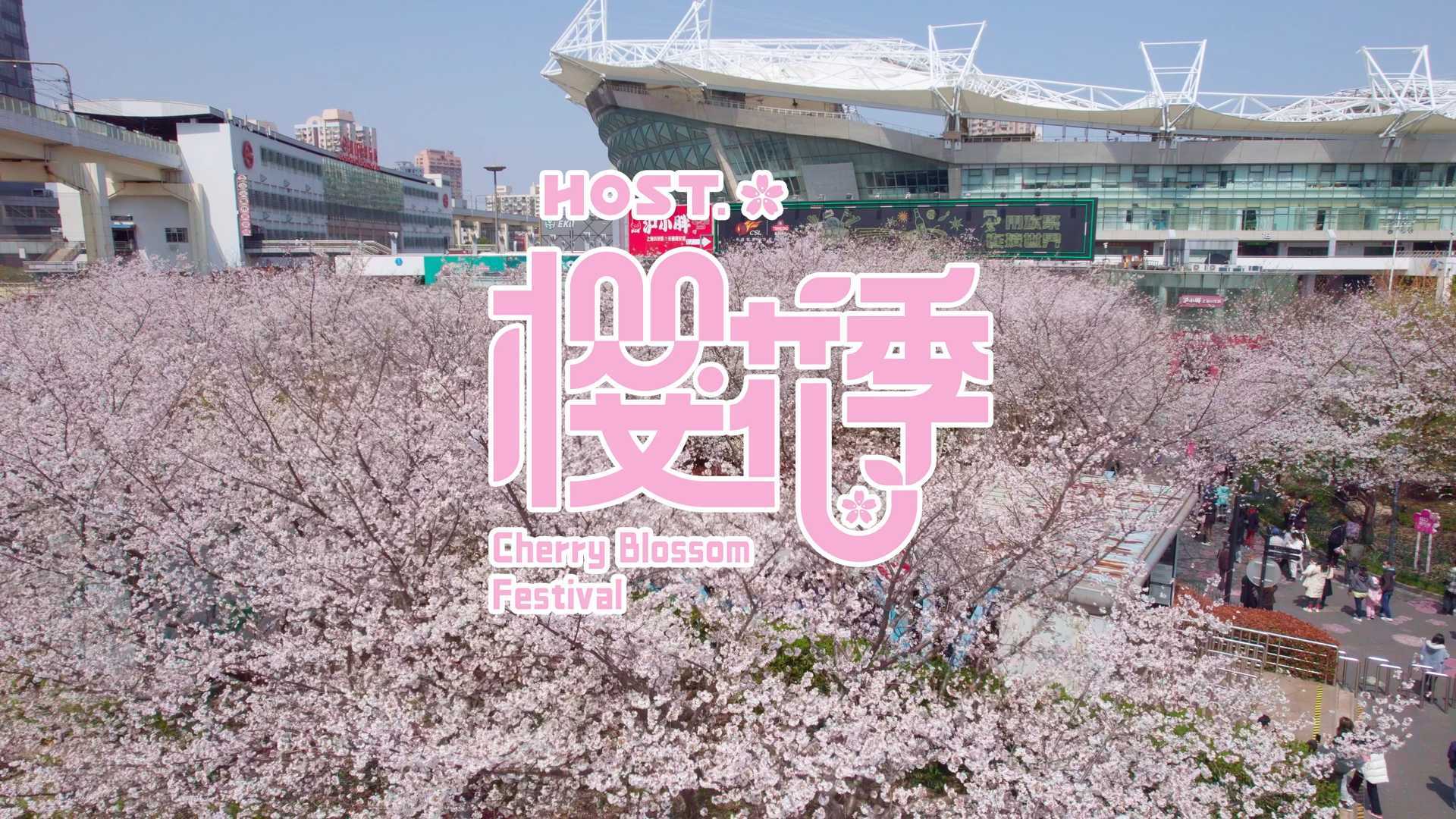 2022年上海虹口足球场樱花季活动混剪视频