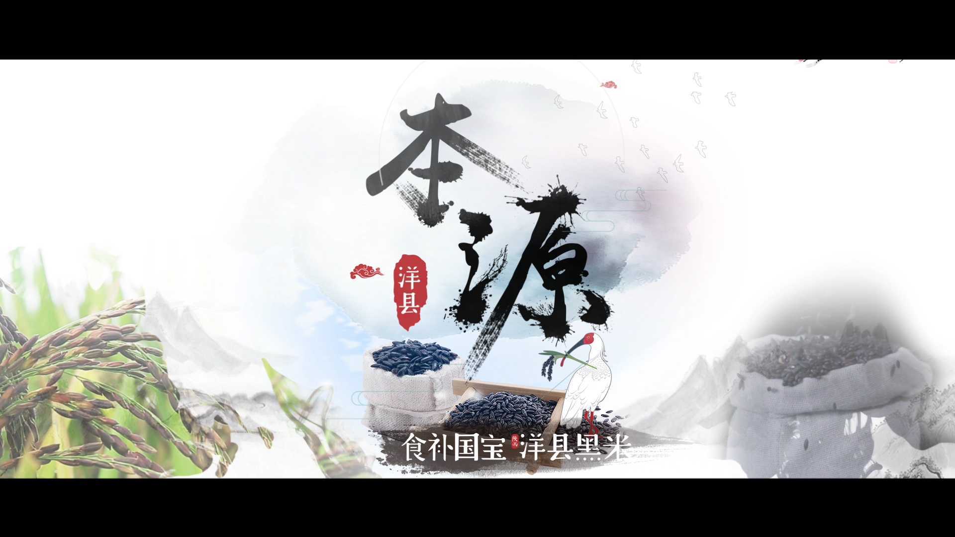 《本源》—2018洋县区域公用品牌宣传片