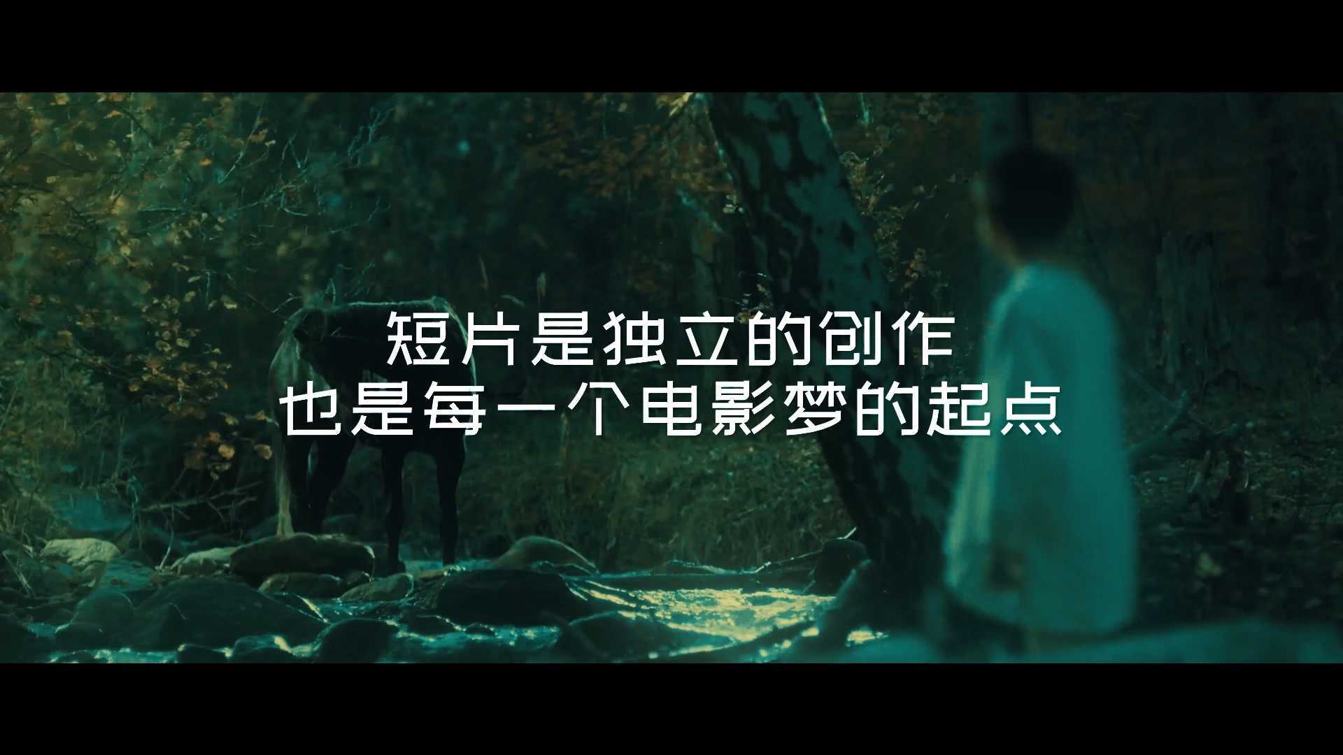 【此刻Moment】这就是中国电影的未来？ 杭州青年影像计划 x 此刻