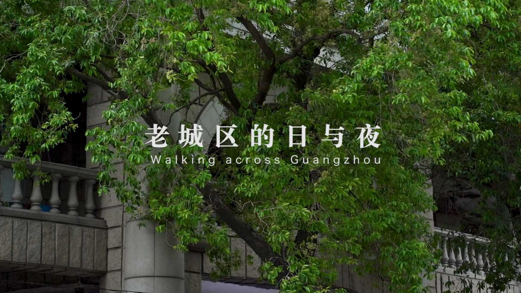 广州骑楼纪录短片《老城区的日与夜》