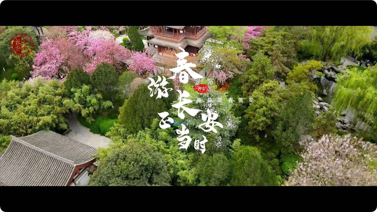 2022春游西安宣传片  《春游长安正当时》-春日踏青赏花