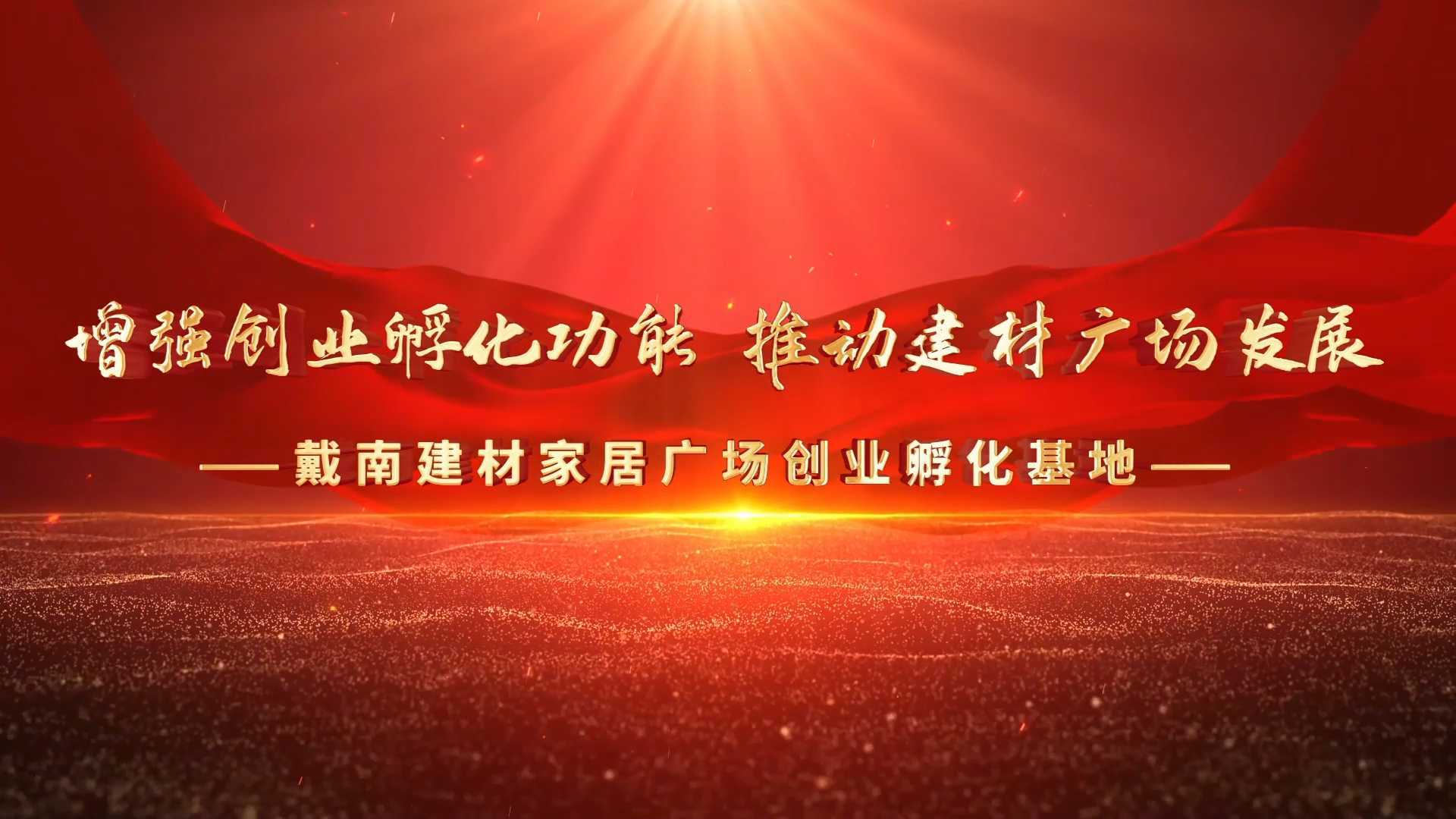 戴南建材家居广场创业孵化基地 宣传片