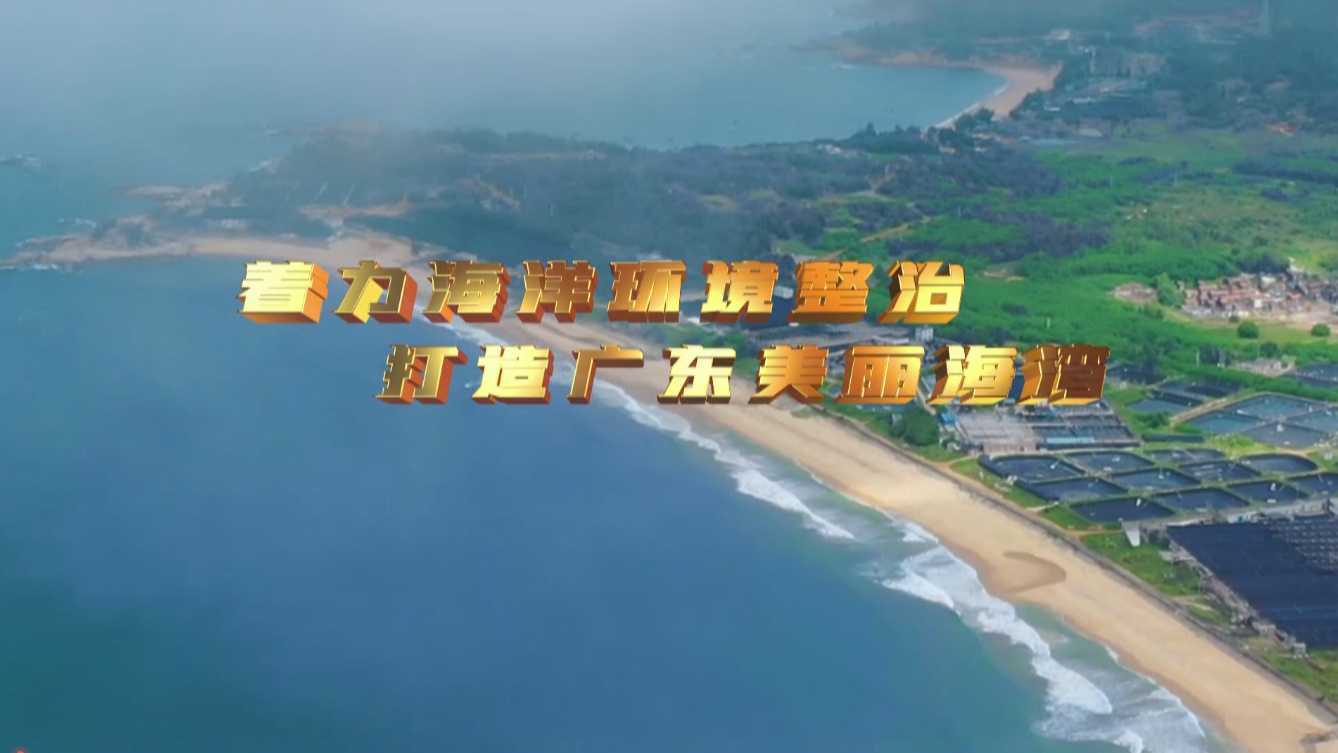 纪录东方之着力海洋环境整治 打造广东美丽海湾