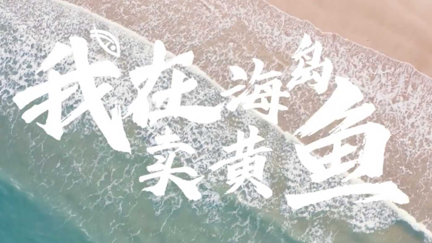 #共同富裕#国家电网温州微光系列影片——我在海岛卖黄鱼