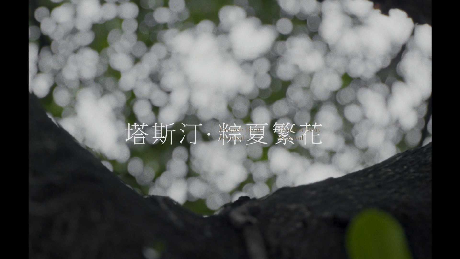 《粽夏繁华》礼盒概念广告 Dir cut