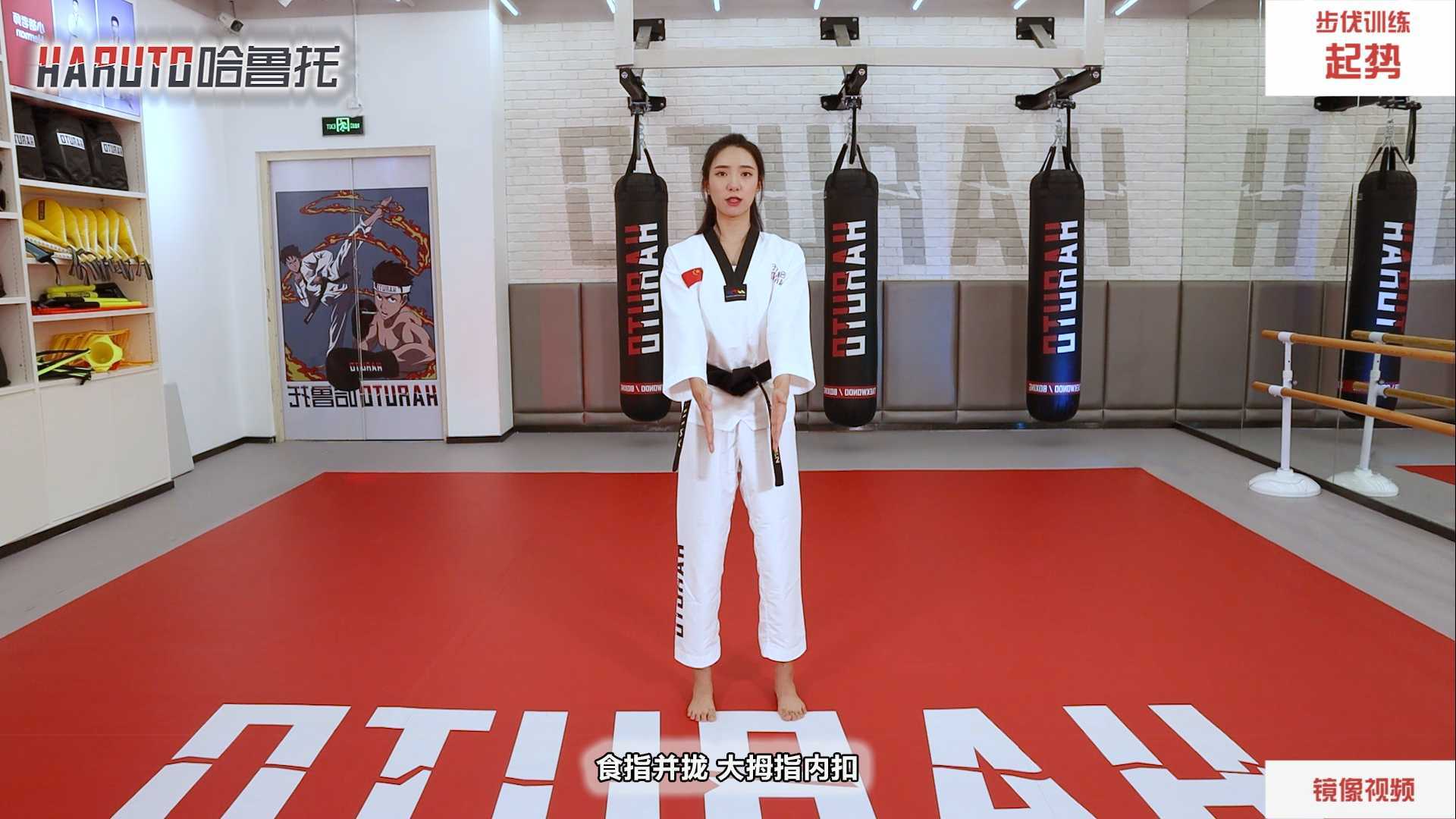HARUTO哈鲁托跆拳道教学视频