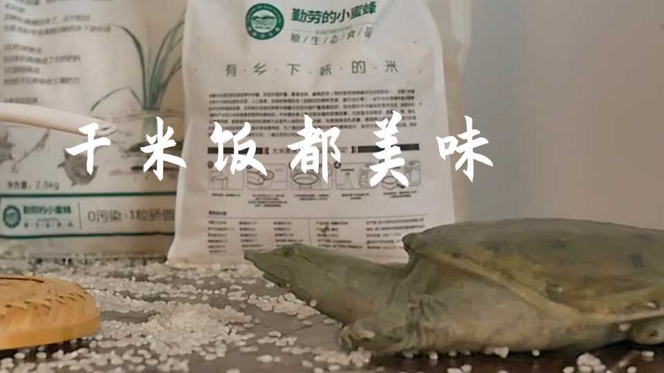 绿色稻鳖大米软糯糯香喷喷