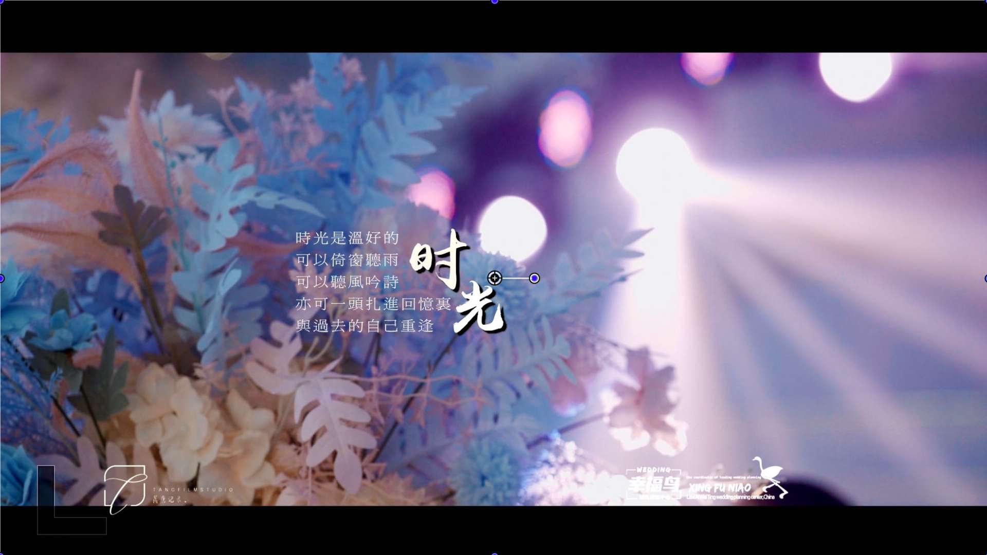 婚礼大电影《时光》-22.5.27幸福鸟婚礼出品