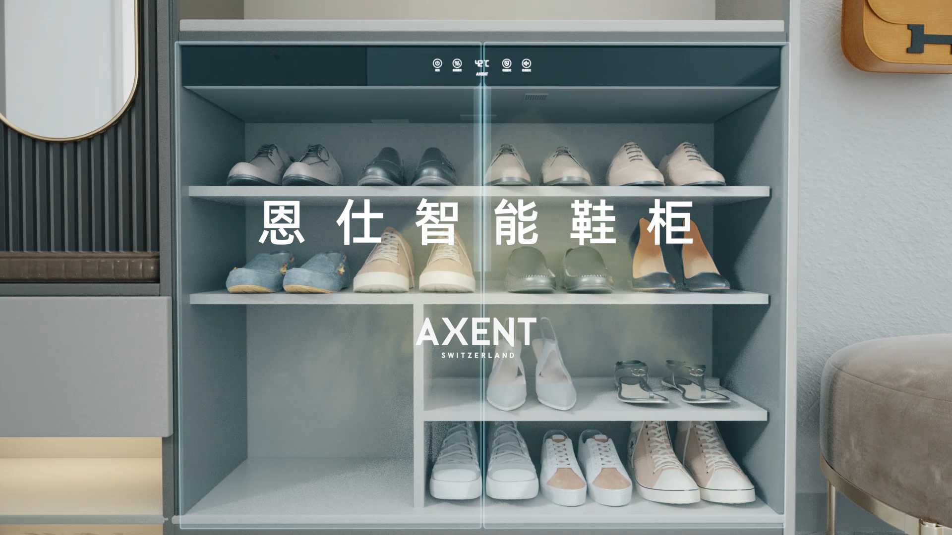 WDP-AXENT鞋柜