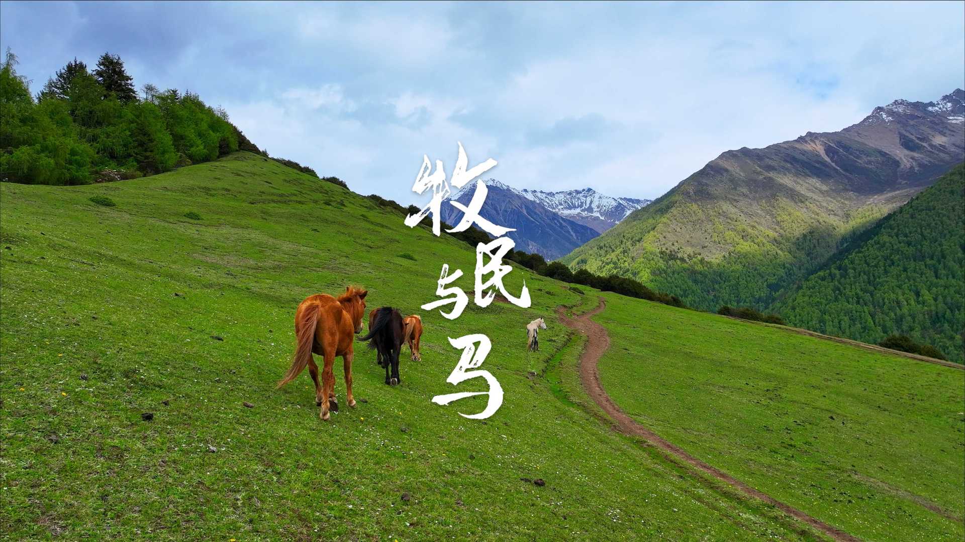 牧民与马 | 本片内照片均由vivo S15系列拍摄