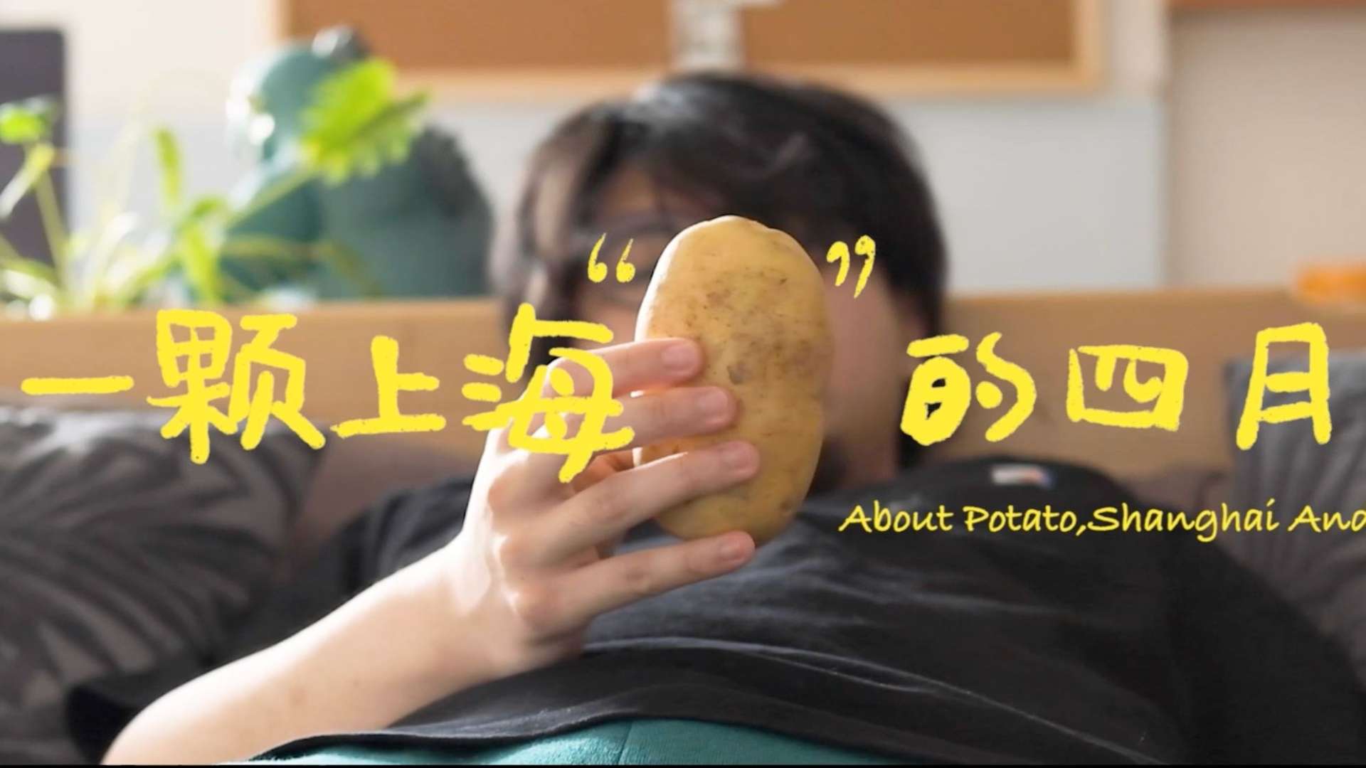老板电器-《一 颗 上 海 马 铃 薯 的 四 月》