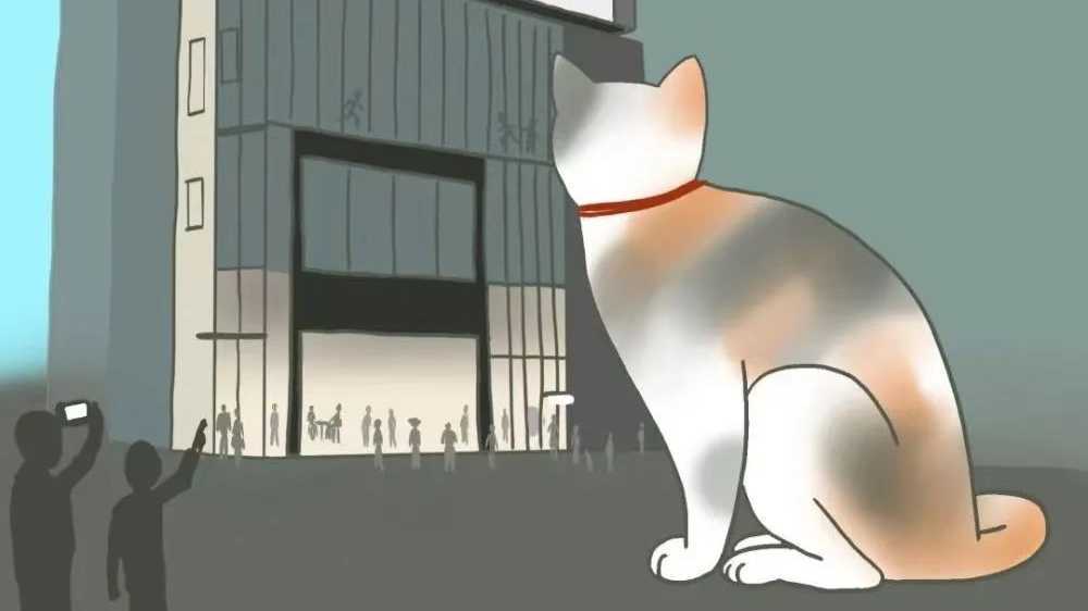 两个裸眼3D大屏幕间来回“串门”的可爱大猫