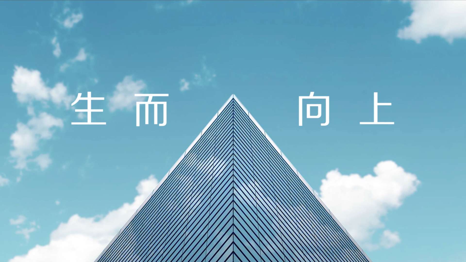 三新集团30周年宣传视频