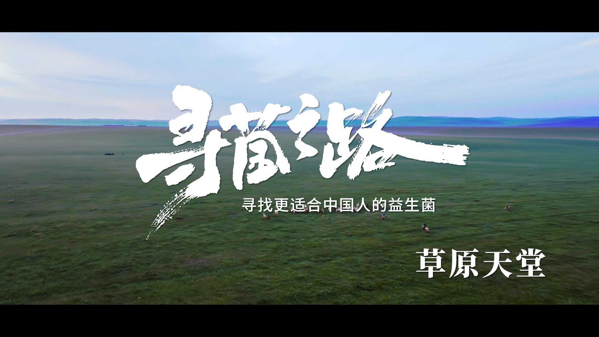 益生菌微纪录片《寻菌之路》S01E01-草原天堂