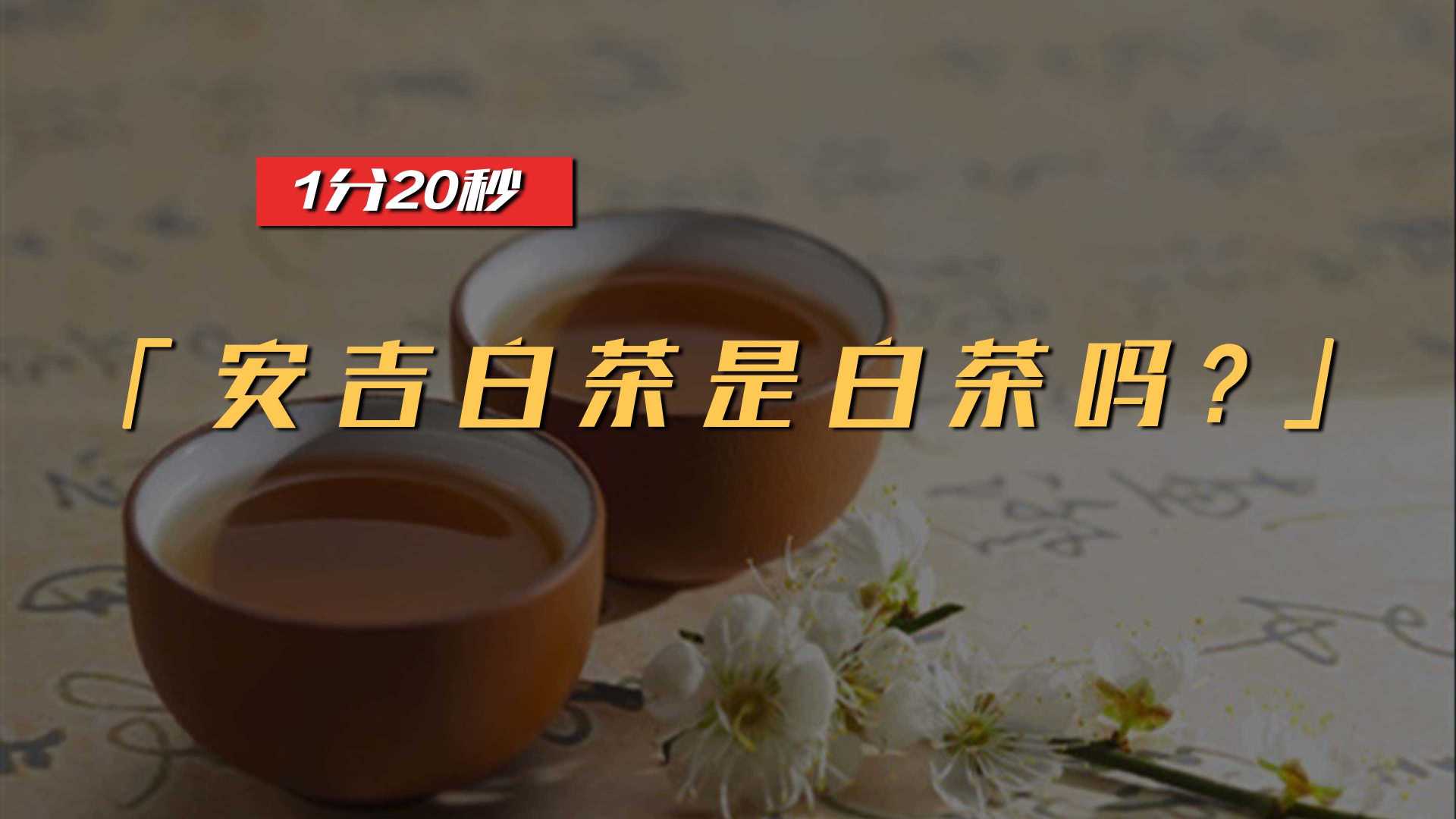 安吉白茶属于白茶吗？