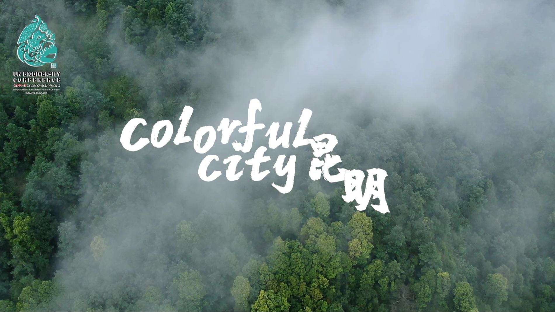 Colorful City（COP15三分钟对外版）