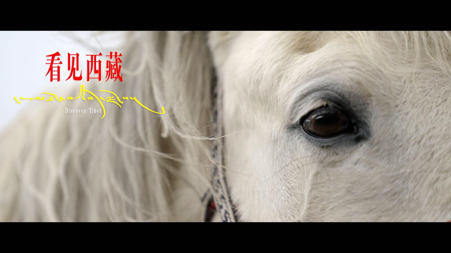 西藏博物馆宣传片《看见西藏》先导片 宽屏版